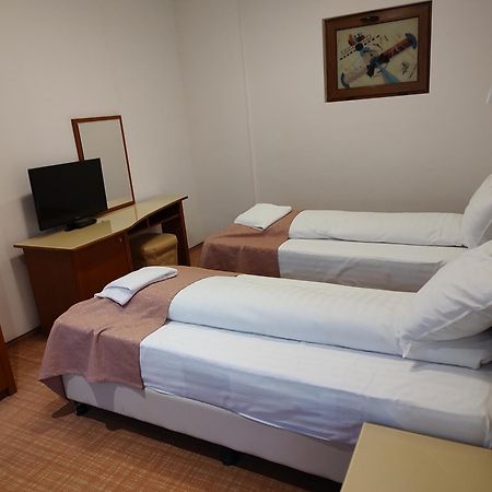 Hotel Dana 2 Satu Mare Exteriér fotografie